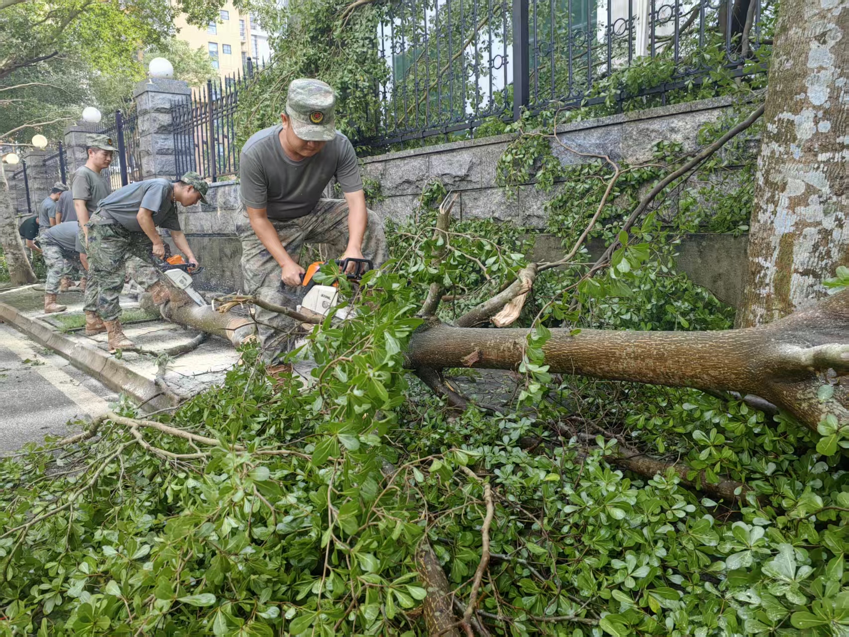 7c3aa9e2c6a570e068bc4b0b9d79577a.jpg 7c3aa9e2c6a570e068bc4b0b9d79577a.jpg