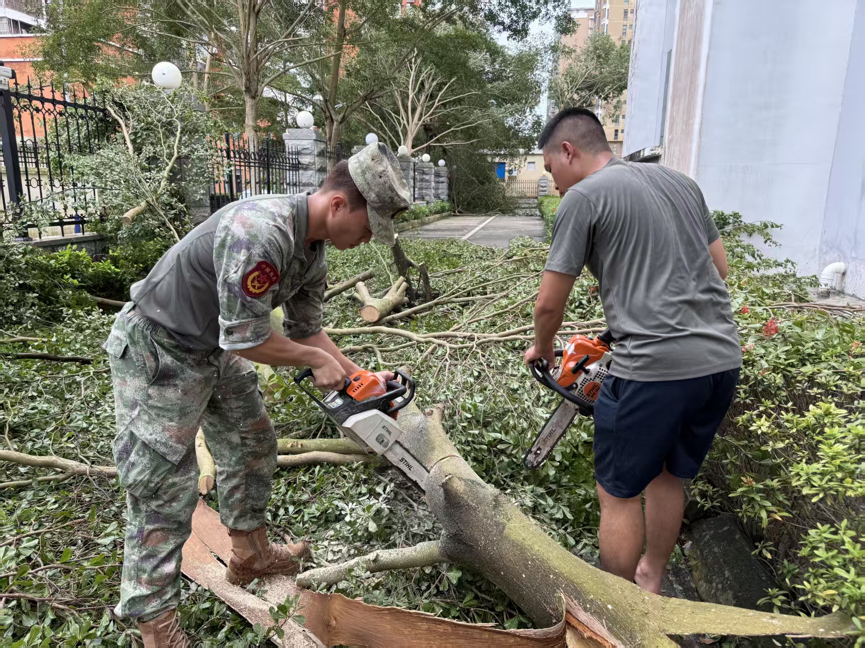 e54eca953bcba28eddd9da633c08a8f2.jpg e54eca953bcba28eddd9da633c08a8f2.jpg