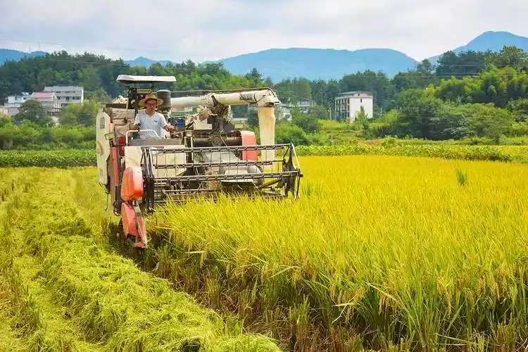 5da2672e8c9679c23861aaf803f32ec9.jpg 5da2672e8c9679c23861aaf803f32ec9.jpg