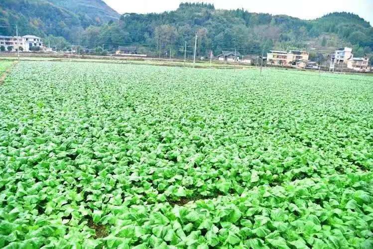 b030b5ebaa05c5e8a1589b6641f59c6a.jpg b030b5ebaa05c5e8a1589b6641f59c6a.jpg